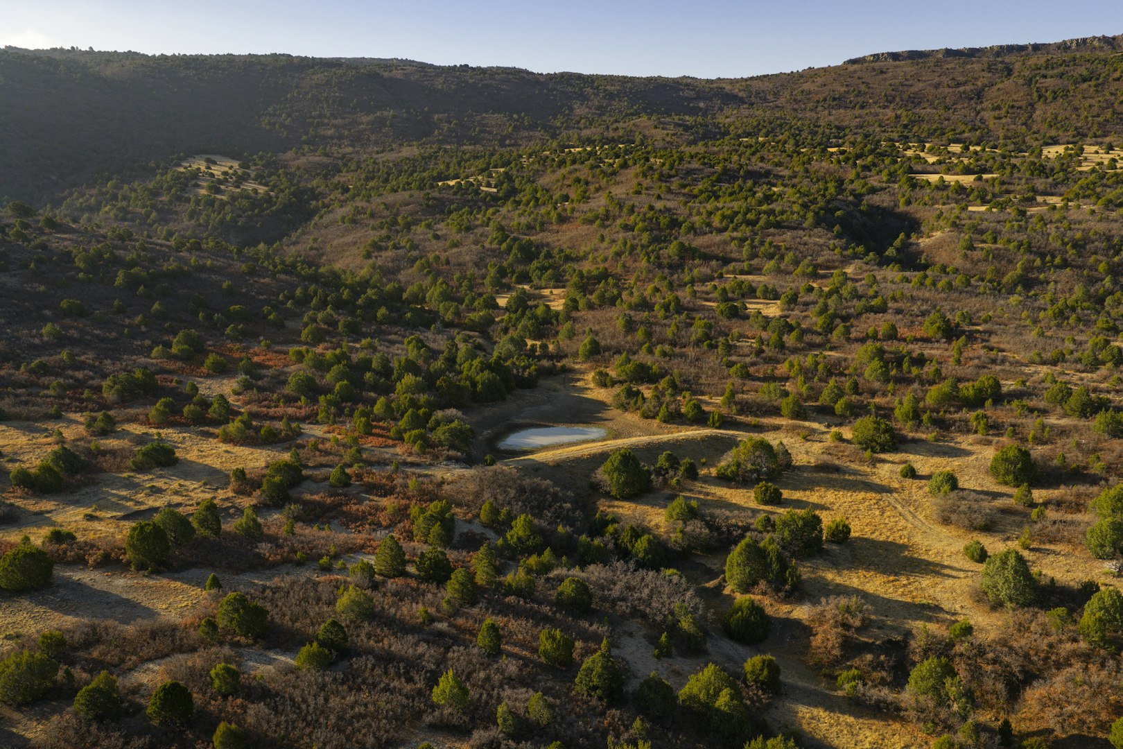 0000 Tbd Folsom NM 88419