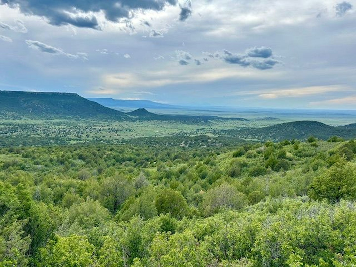 0000 Tbd Folsom NM 88419