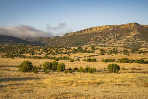0000 Tbd Folsom NM 88419
