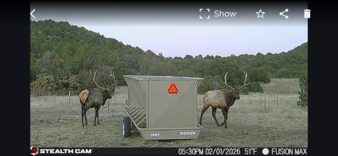 0000 Tbd Folsom NM 88419