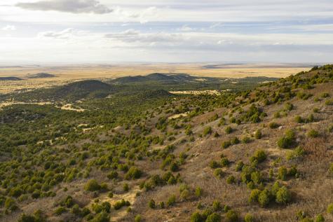 0000 Tbd Folsom NM 88419