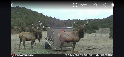 0000 Tbd Folsom NM 88419