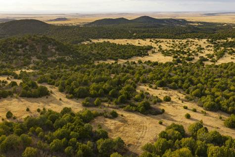 0000 Tbd Folsom NM 88419