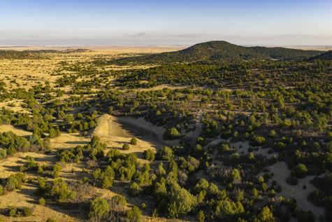 0000 Tbd Folsom NM 88419