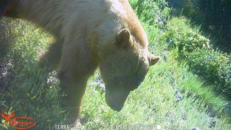 0000 Tbd Folsom NM 88419