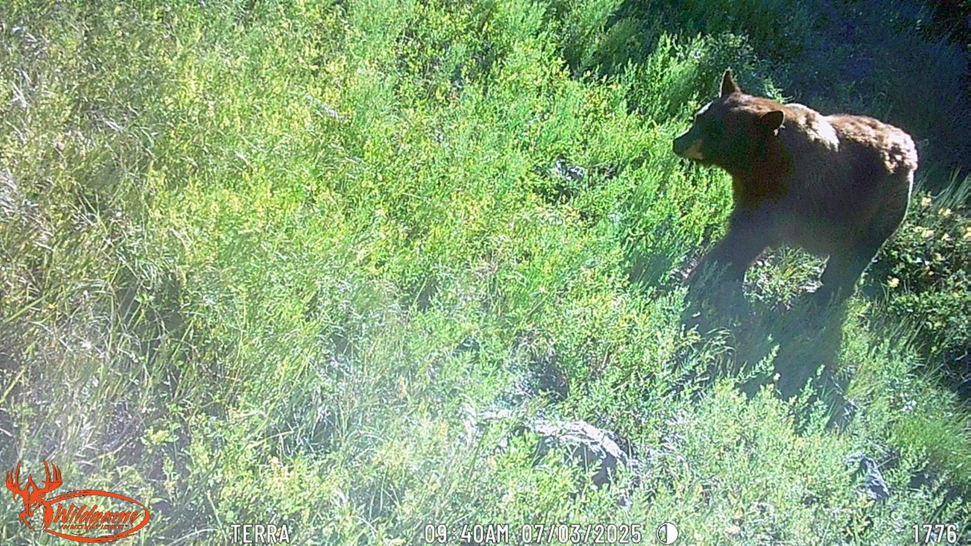 0000 Tbd Folsom NM 88419
