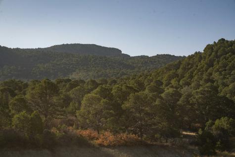 0000 Tbd Folsom NM 88419
