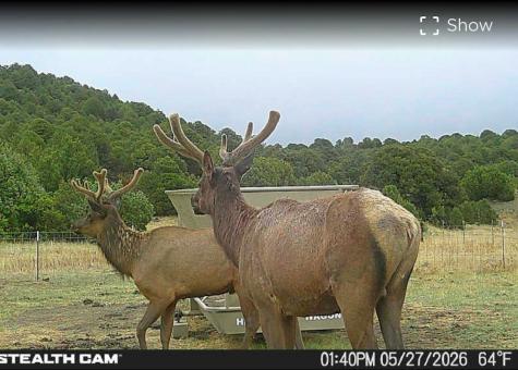 0000 Tbd Folsom NM 88419