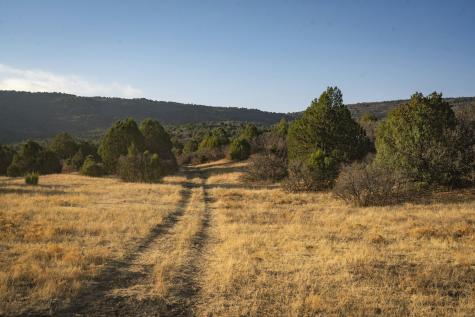 0000 Tbd Folsom NM 88419