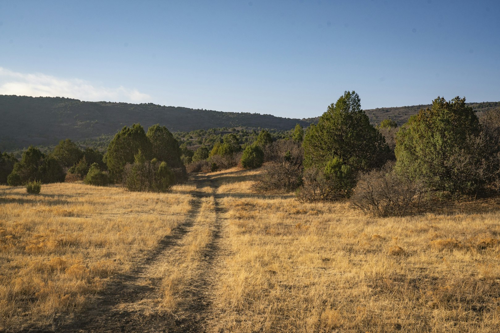 0000 Tbd Folsom NM 88419