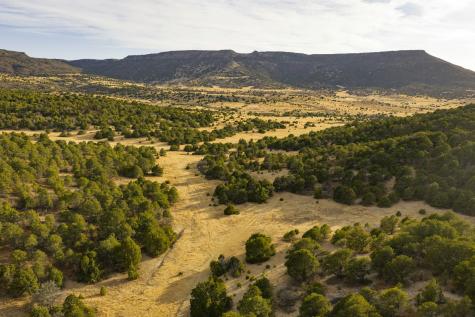 0000 Tbd Folsom NM 88419