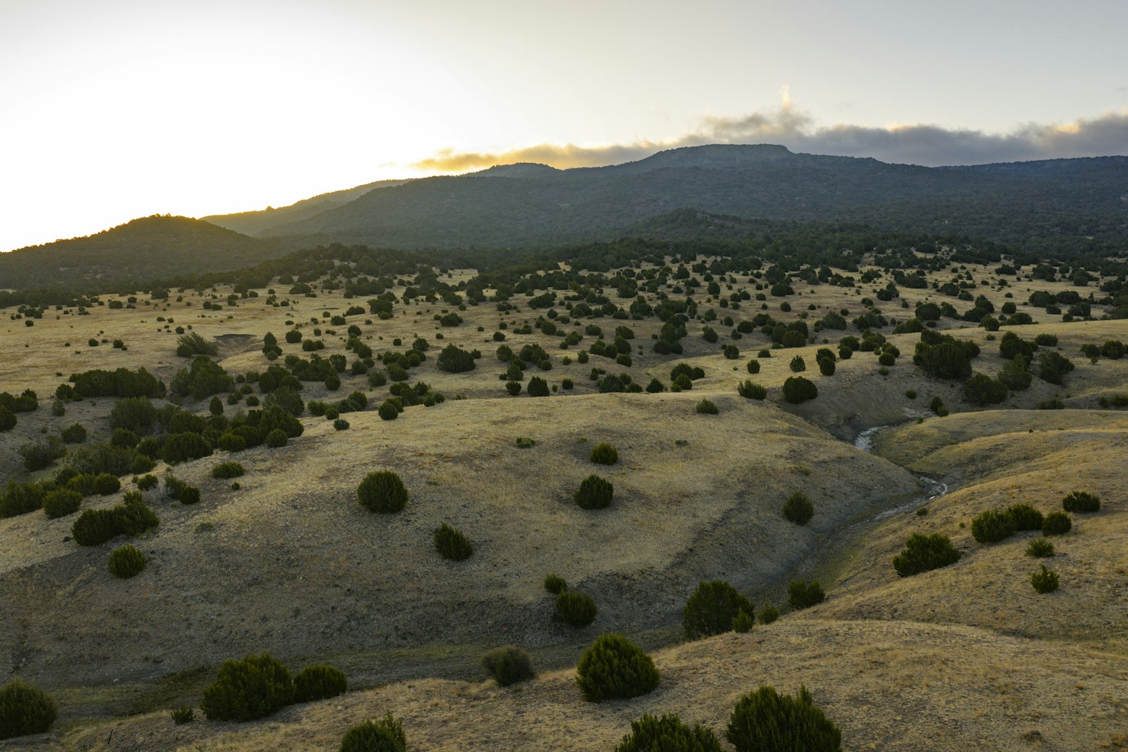 0000 Tbd Folsom NM 88419