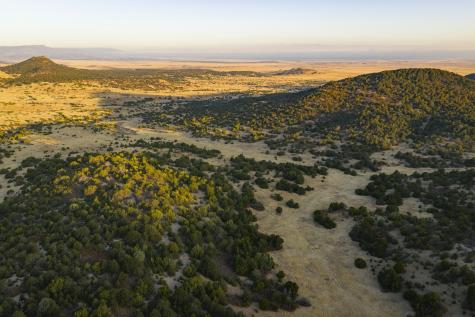 0000 Tbd Folsom NM 88419