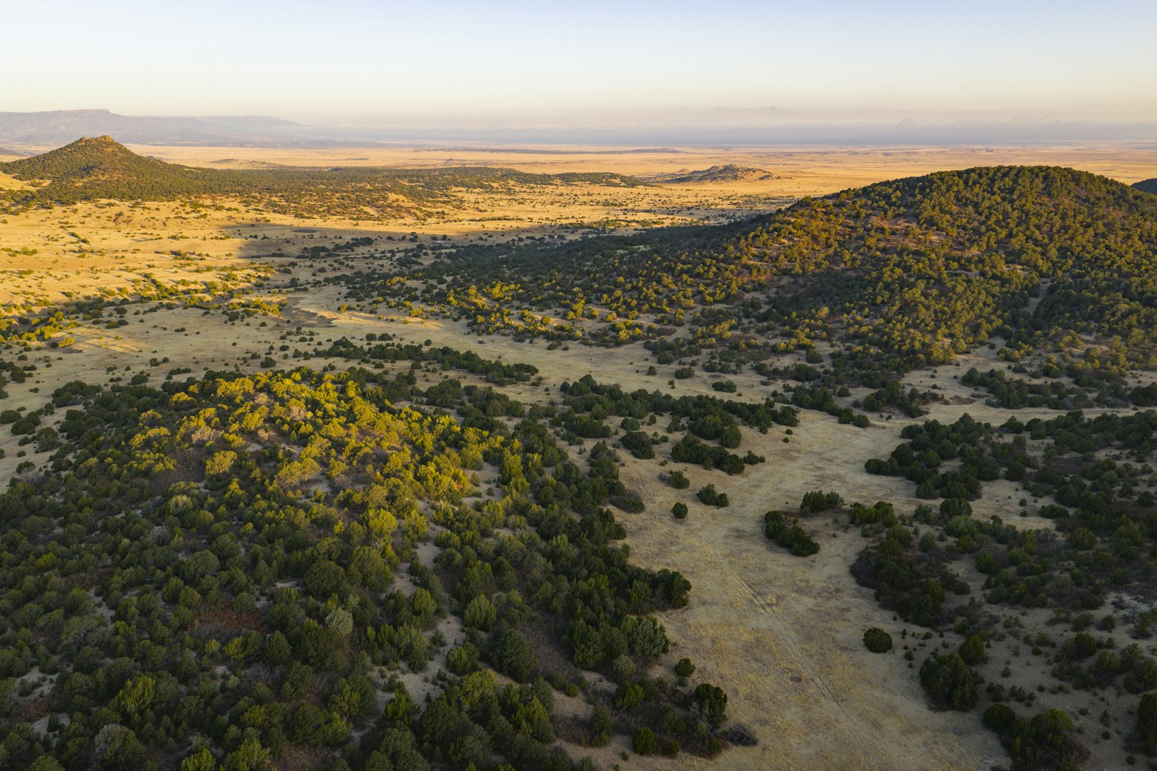 0000 Tbd Folsom NM 88419