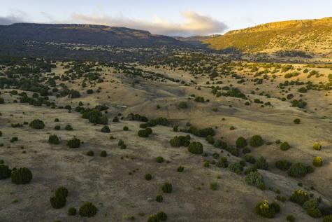 0000 Tbd Folsom NM 88419
