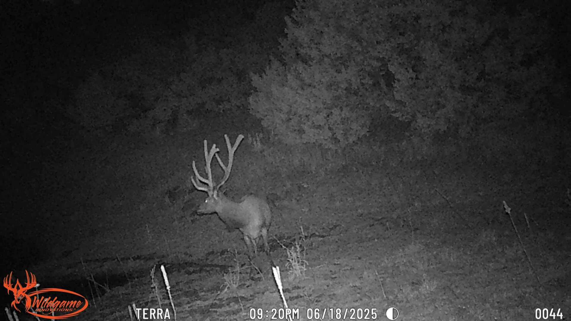 0000 Tbd Folsom NM 88419