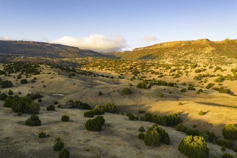 0000 Tbd Folsom NM 88419