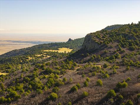 0000 Tbd Folsom NM 88419