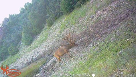 0000 Tbd Folsom NM 88419