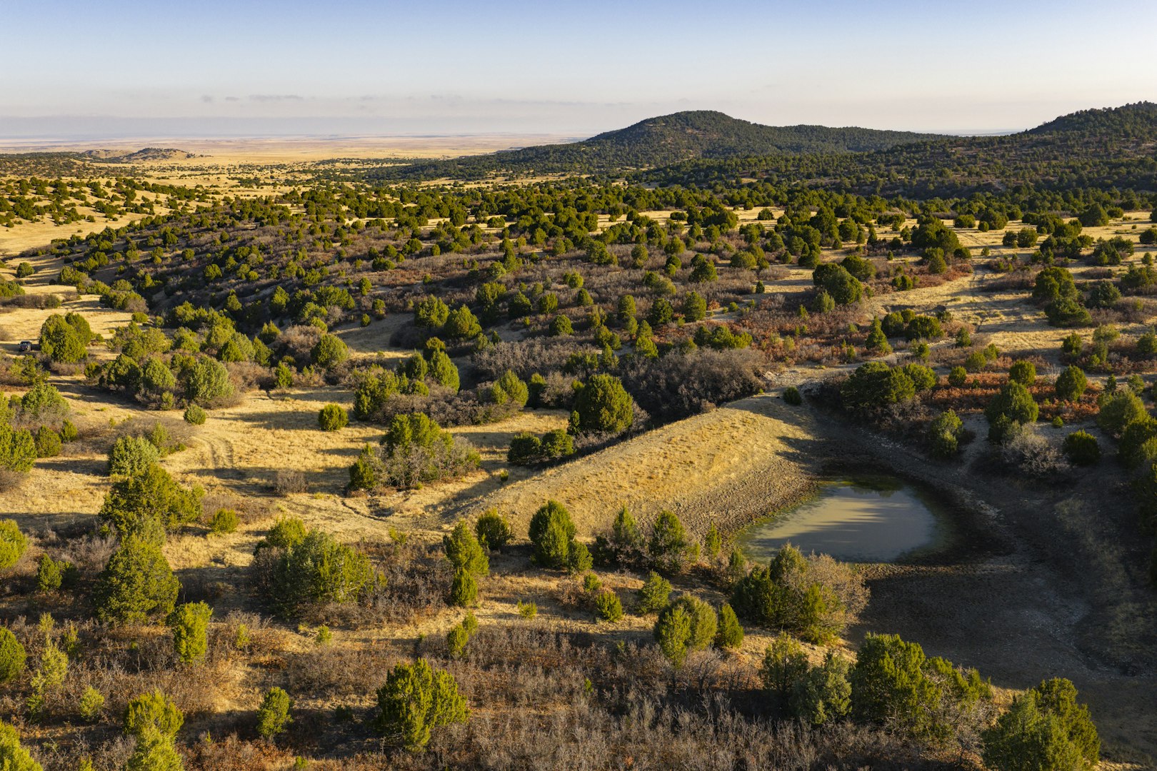 0000 Tbd Folsom NM 88419