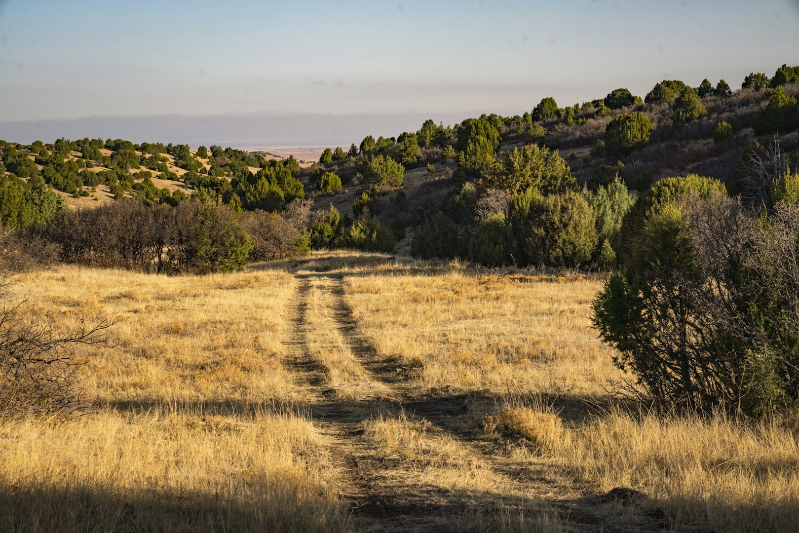 0000 Tbd Folsom NM 88419