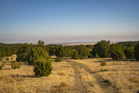0000 Tbd Folsom NM 88419