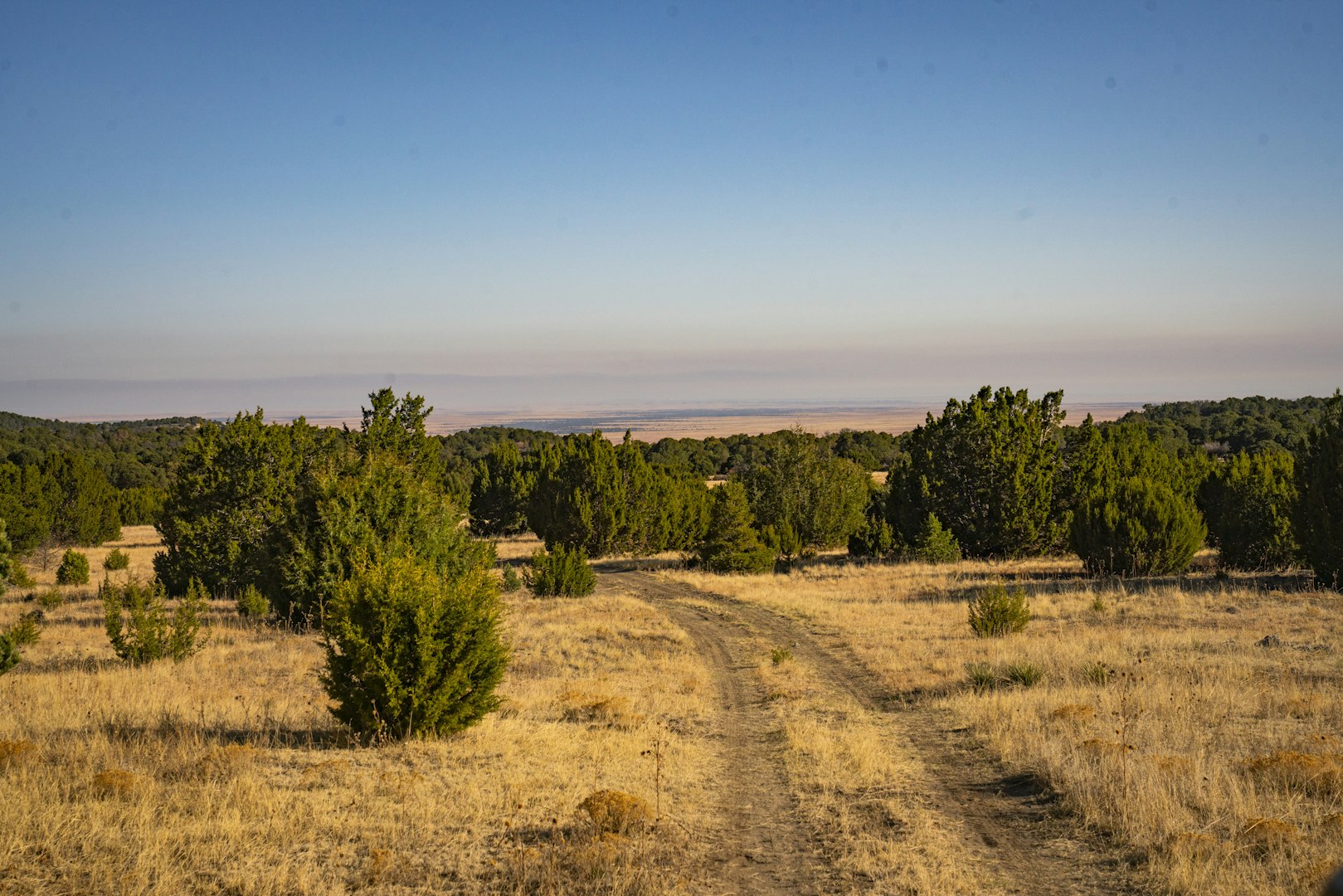 0000 Tbd Folsom NM 88419