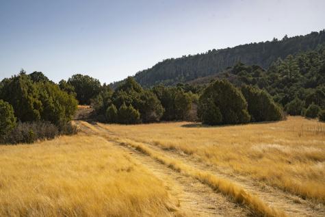 0000 Tbd Folsom NM 88419