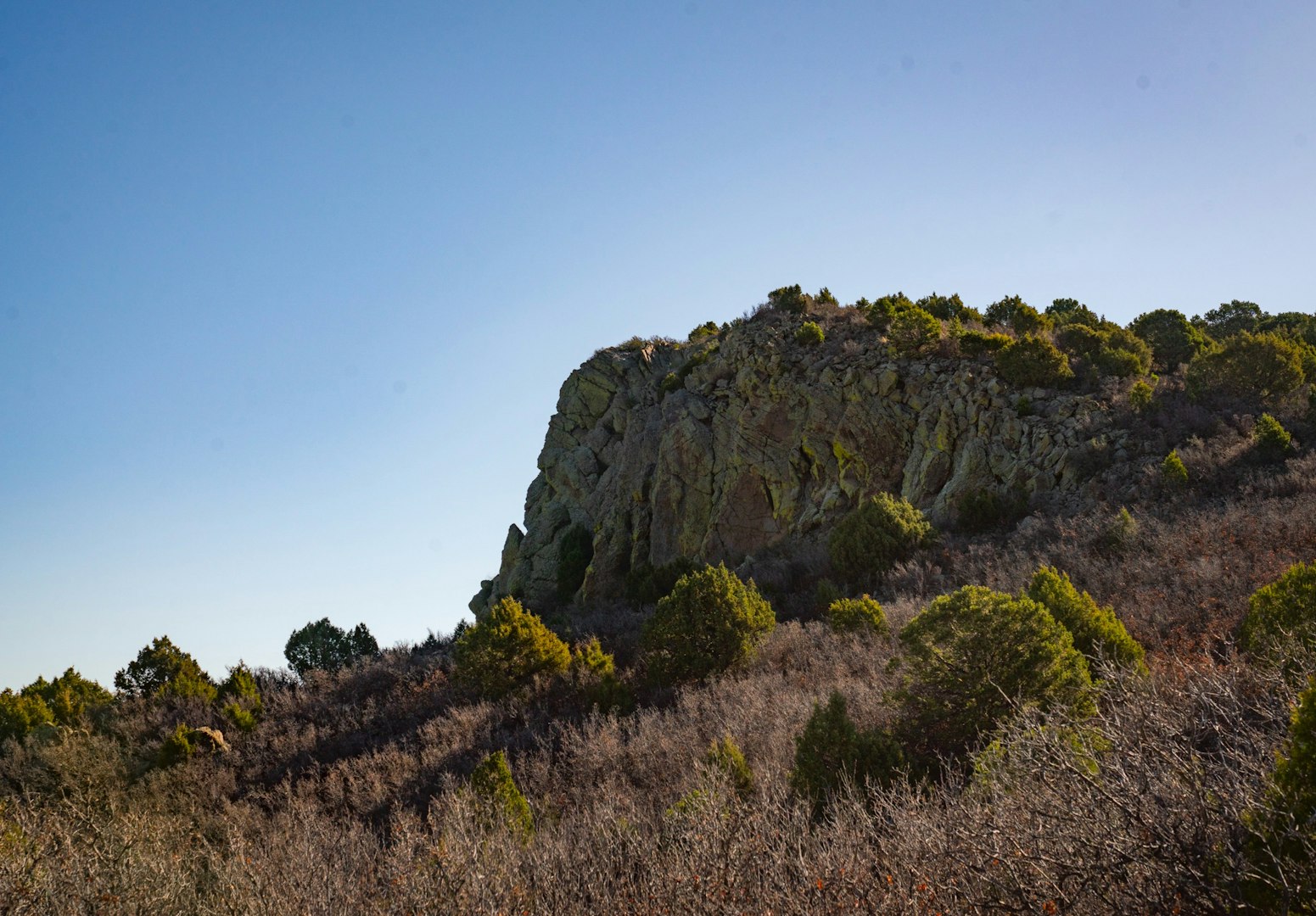 0000 Tbd Folsom NM 88419