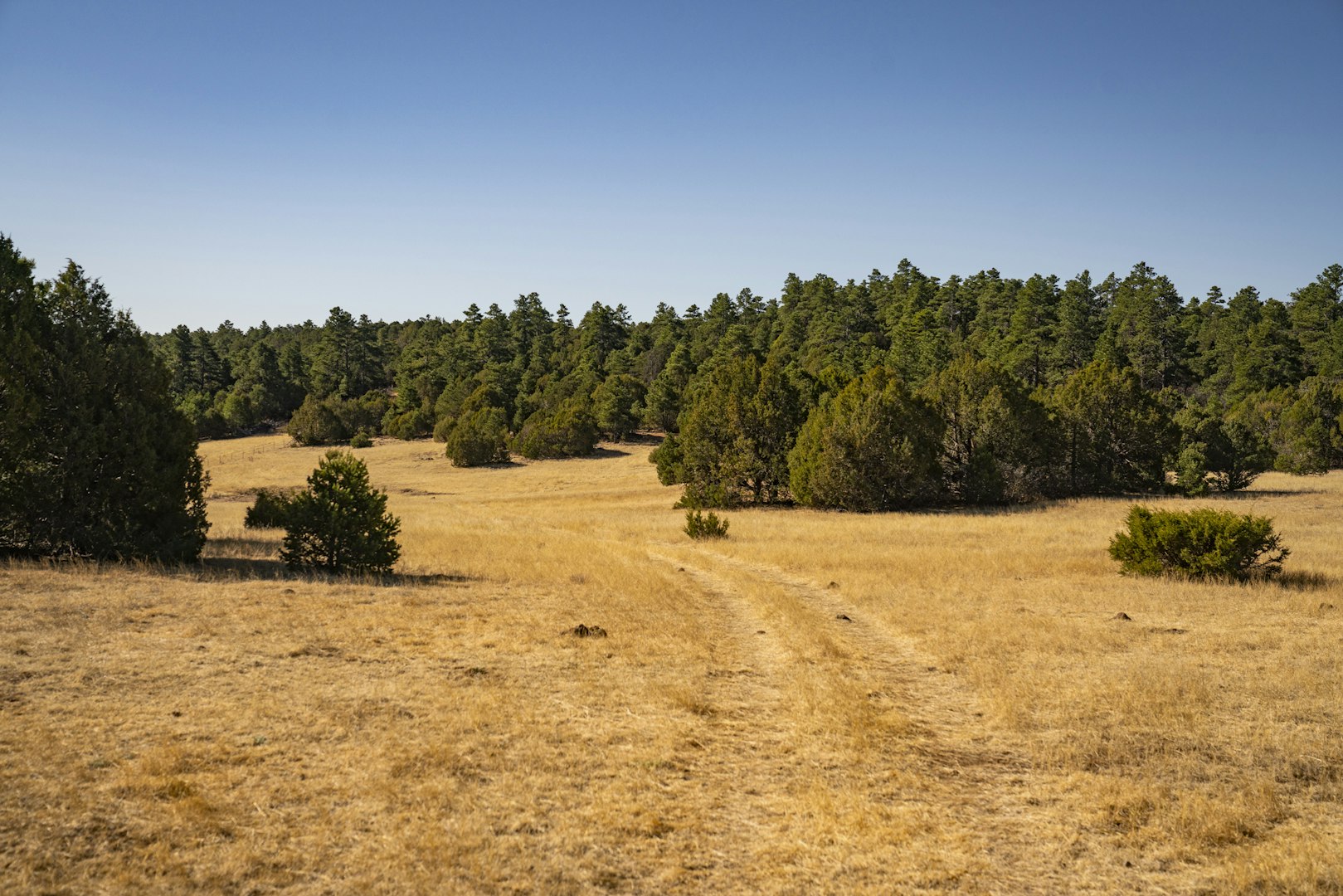0000 Tbd Folsom NM 88419