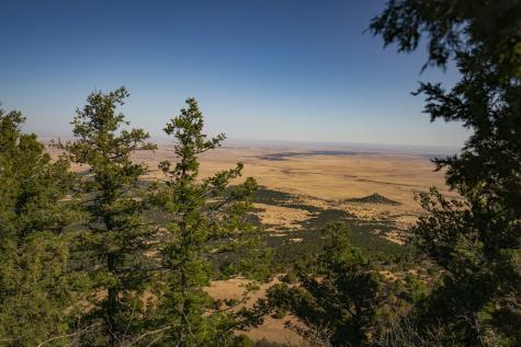 0000 Tbd Folsom NM 88419