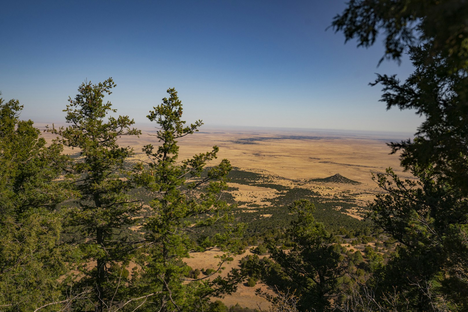 0000 Tbd Folsom NM 88419