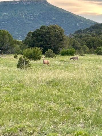 0000 Tbd Folsom NM 88419