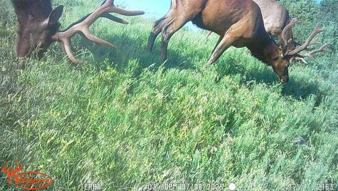 0000 Tbd Folsom NM 88419