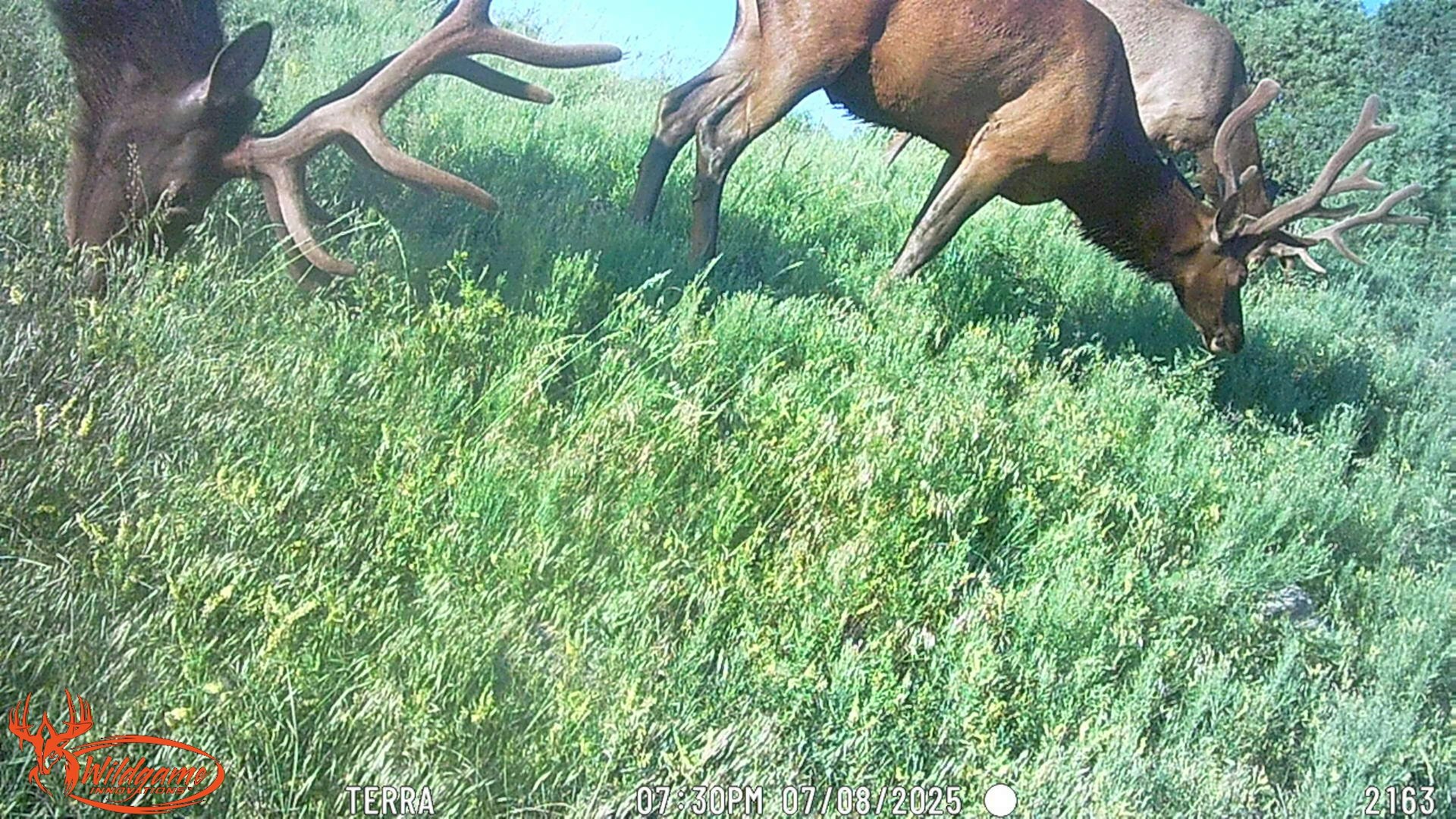 0000 Tbd Folsom NM 88419