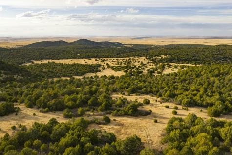 0000 Tbd Folsom NM 88419
