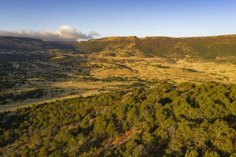 0000 Tbd Folsom NM 88419