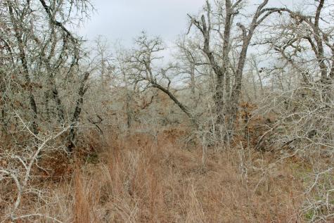 0000 Robertson Road Smiley TX 78159