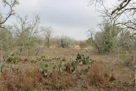 0000 Robertson Road Smiley TX 78159