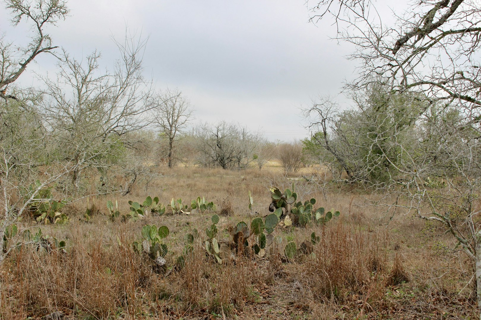 0000 Robertson Road Smiley TX 78159