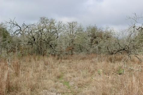 0000 Robertson Road Smiley TX 78159