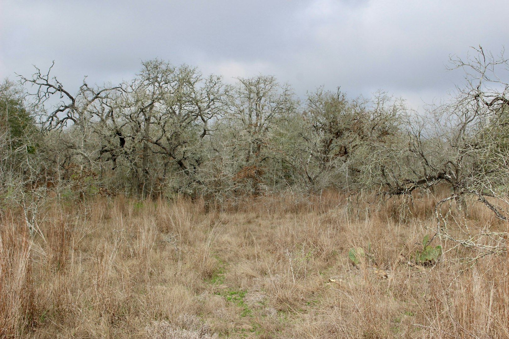 0000 Robertson Road Smiley TX 78159