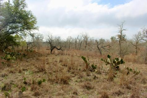 0000 Robertson Road Smiley TX 78159