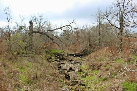 0000 Robertson Road Smiley TX 78159