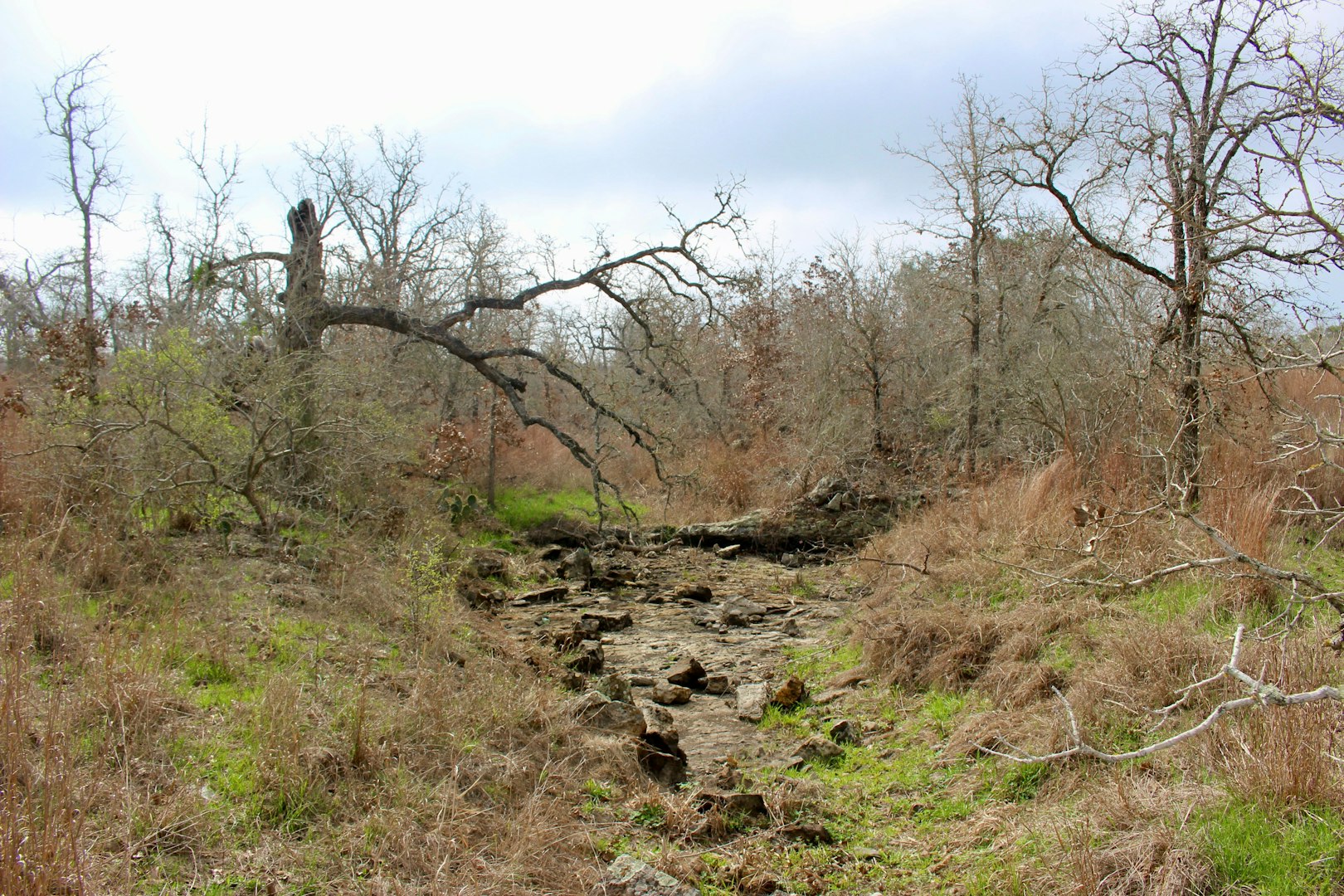 0000 Robertson Road Smiley TX 78159