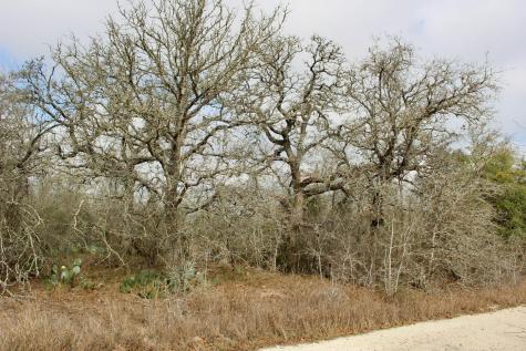 0000 Robertson Road Smiley TX 78159