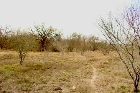 0000 Robertson Road Smiley TX 78159