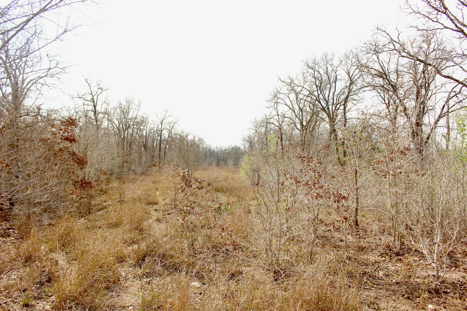 0000 Robertson Road Smiley TX 78159