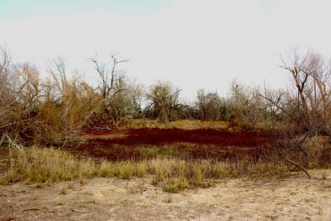 0000 Robertson Road Smiley TX 78159