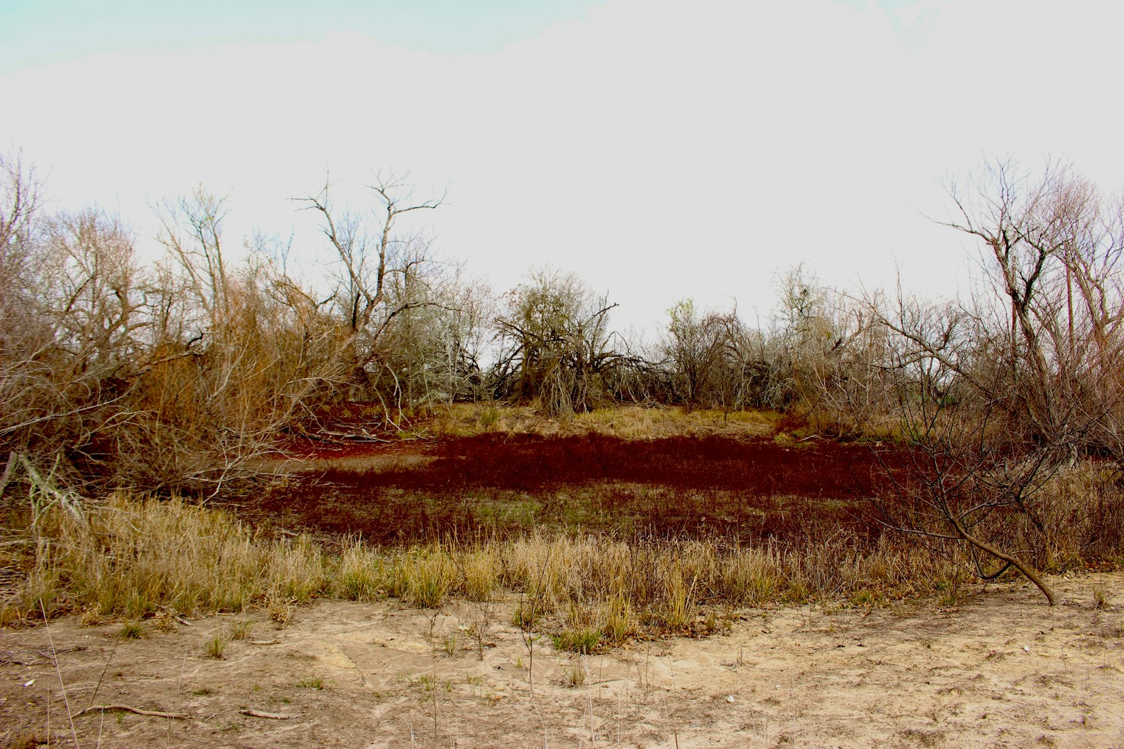 0000 Robertson Road Smiley TX 78159
